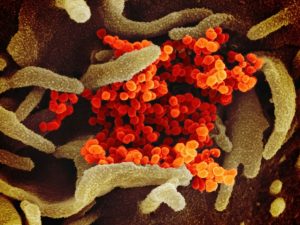 Callio Therapeutics Secures $187M