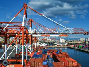 Navigating Rising Tariffs for Business Growth