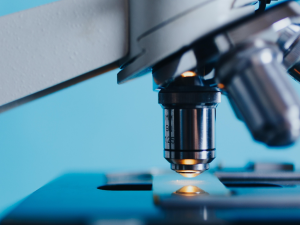 Anthropic Acquires Coefficient Bio