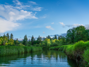 Google to Double 2030 Water Replenishment