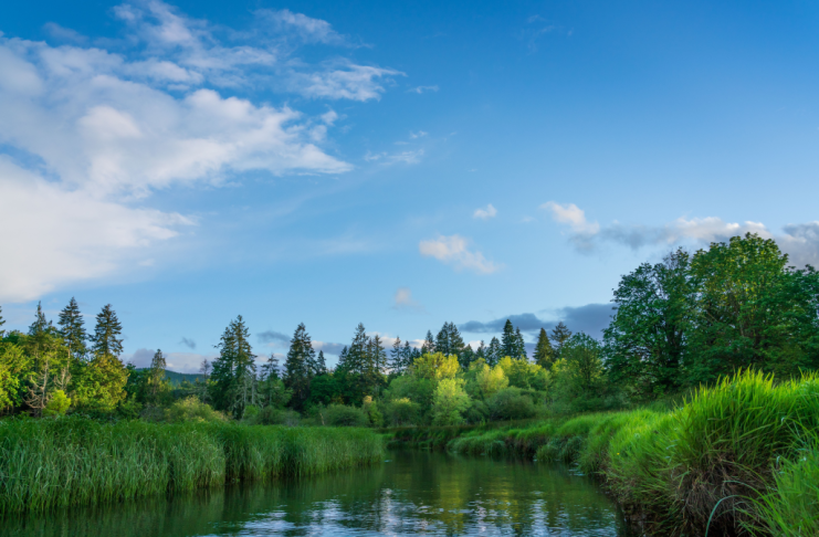 Google Vows to Replenish More Water Than Data Centers Consume by 2030