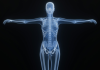 AI Startup Midjourney Pivots to Healthcare With Custom Ultrasound Hardware